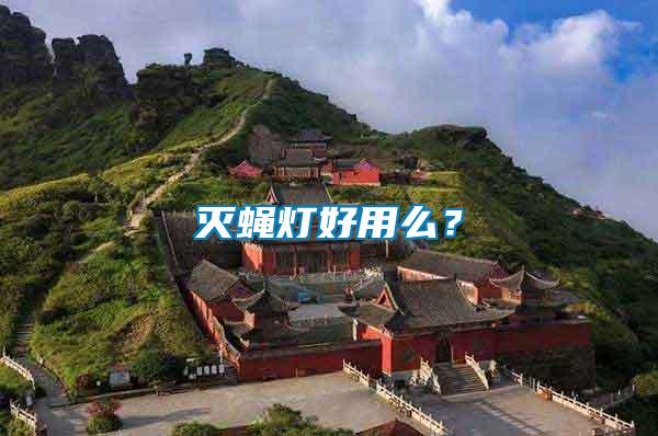 滅蠅燈好用么？
