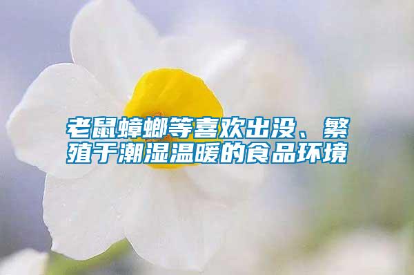 老鼠蟑螂等喜歡出沒、繁殖于潮濕溫暖的食品環(huán)境