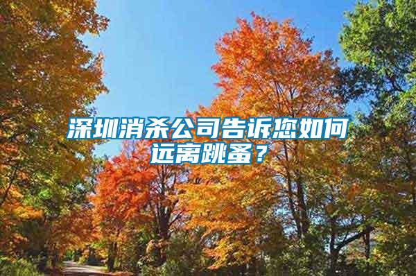深圳消殺公司告訴您如何遠(yuǎn)離跳蚤？