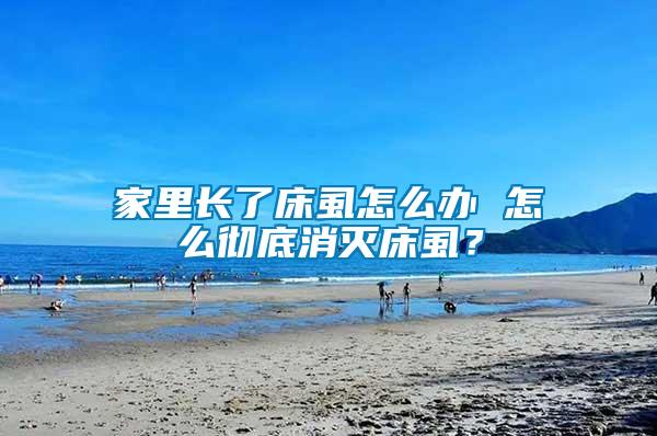 家里長了床虱怎么辦 怎么徹底消滅床虱？