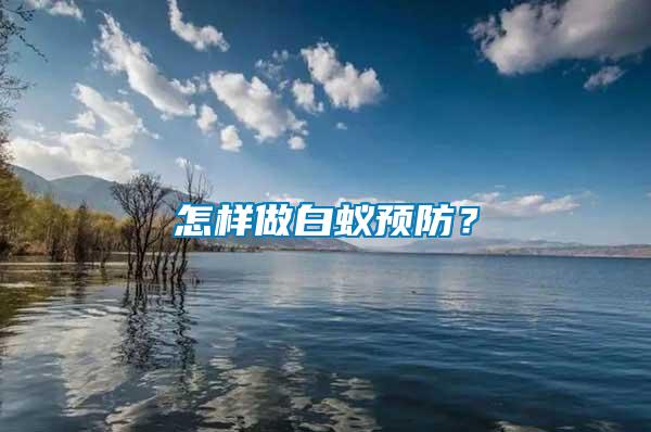 怎樣做白蟻預防？