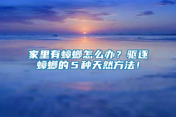 家里有蟑螂怎么辦？驅(qū)逐蟑螂的５種天然方法！