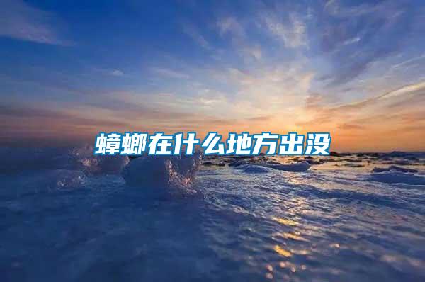 蟑螂在什么地方出沒