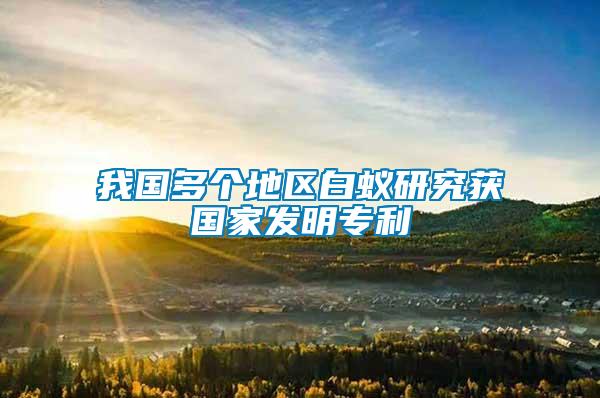 我國多個(gè)地區(qū)白蟻研究獲國家發(fā)明專利