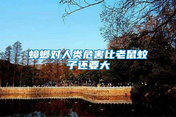 蟑螂對人類危害比老鼠蚊子還要大