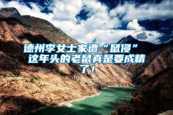 德州李女士家遭“鼠侵” 這年頭的老鼠真是要成精了！