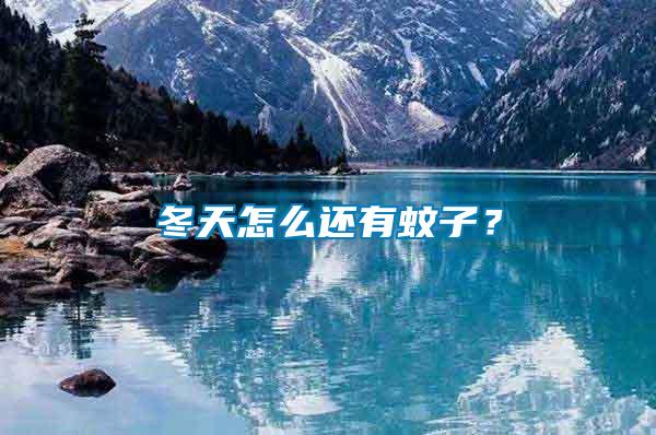 冬天怎么還有蚊子？