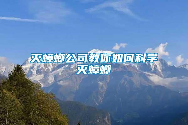 滅蟑螂公司教你如何科學(xué)滅蟑螂