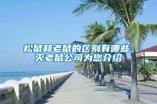 松鼠和老鼠的區(qū)別有哪些，滅老鼠公司為您介紹