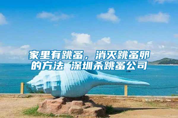 家里有跳蚤，消滅跳蚤卵的方法 深圳殺跳蚤公司