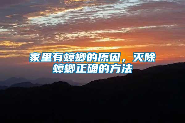 家里有蟑螂的原因，滅除蟑螂正確的方法