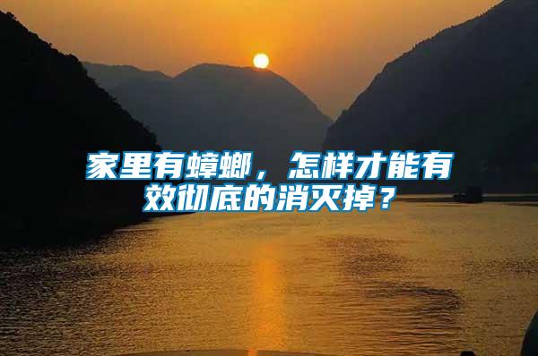家里有蟑螂，怎樣才能有效徹底的消滅掉？