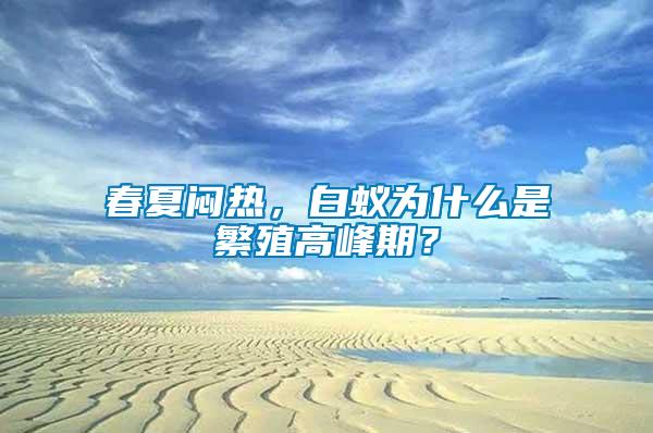 春夏悶熱，白蟻為什么是繁殖高峰期？