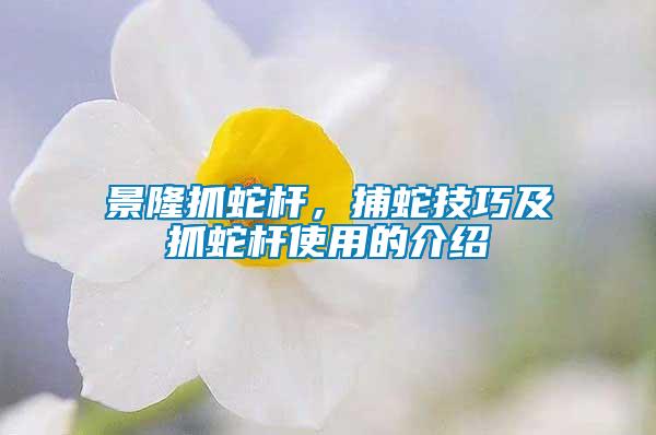 景隆抓蛇桿，捕蛇技巧及抓蛇桿使用的介紹