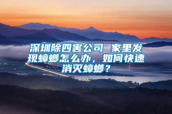 深圳除四害公司 家里發(fā)現(xiàn)蟑螂怎么辦，如何快速消滅蟑螂？