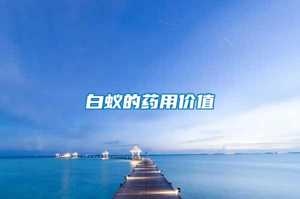 白蟻的藥用價(jià)值
