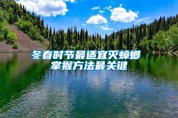冬春時節(jié)最適宜滅蟑螂 掌握方法最關(guān)鍵