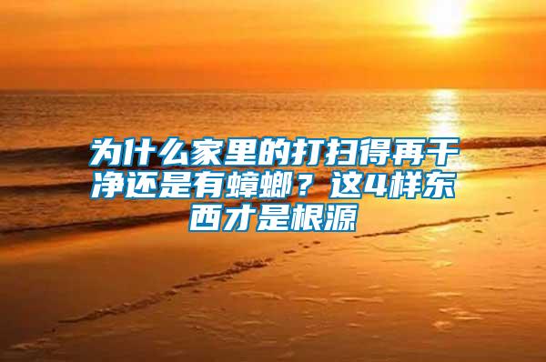 為什么家里的打掃得再干凈還是有蟑螂？這4樣?xùn)|西才是根源