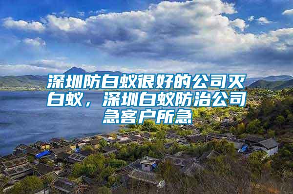 深圳防白蟻很好的公司滅白蟻，深圳白蟻防治公司急客戶所急