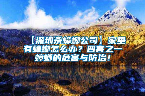 【深圳殺蟑螂公司】家里有蟑螂怎么辦？四害之一蟑螂的危害與防治！