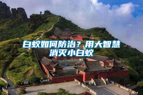 白蟻如何防治？用大智慧消滅小白蟻