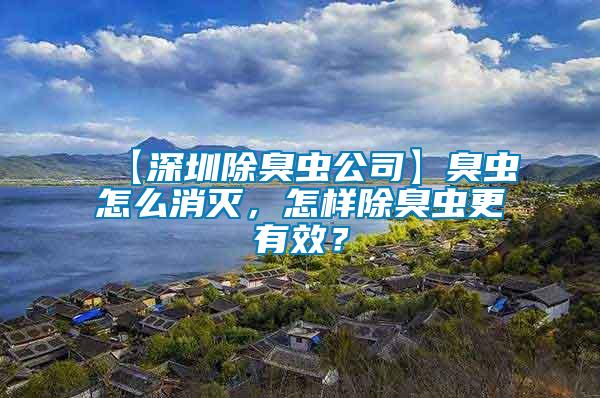 【深圳除臭蟲公司】臭蟲怎么消滅，怎樣除臭蟲更有效？