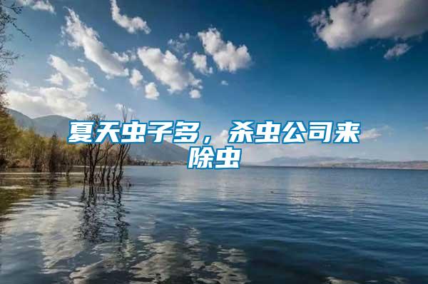 夏天蟲子多，殺蟲公司來除蟲