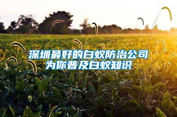 深圳最好的白蟻防治公司為你普及白蟻知識(shí)