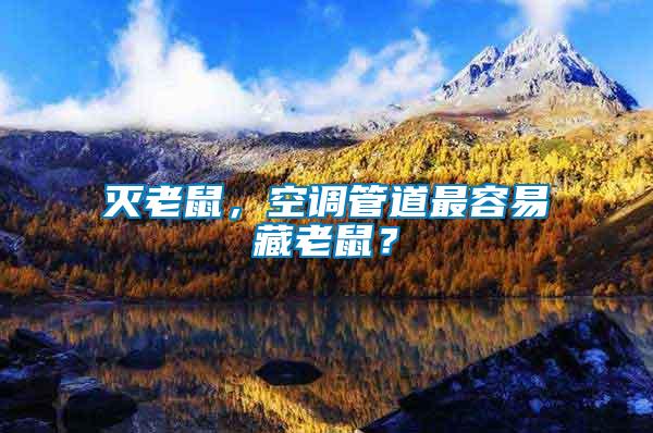 滅老鼠，空調(diào)管道最容易藏老鼠？