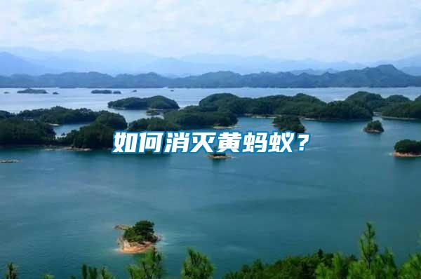 如何消滅黃螞蟻？