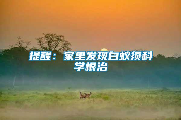 提醒：家里發(fā)現(xiàn)白蟻須科學根治