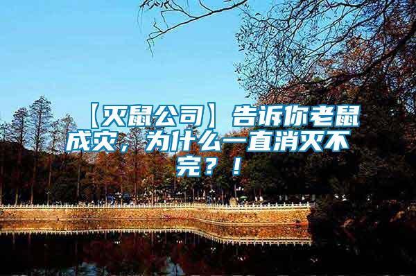 【滅鼠公司】告訴你老鼠成災(zāi)，為什么一直消滅不完？！