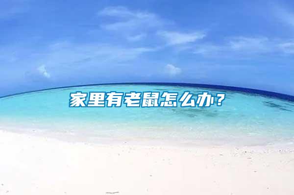 家里有老鼠怎么辦？