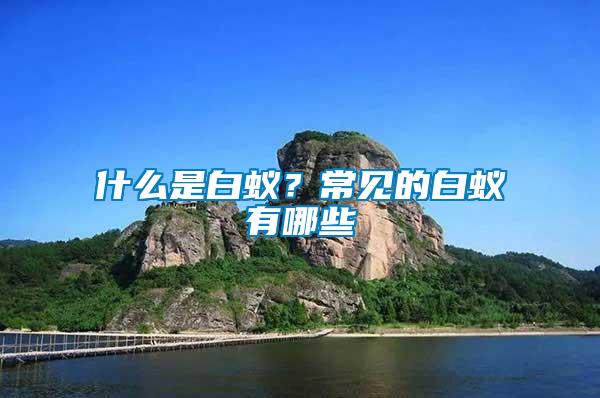 什么是白蟻？常見的白蟻有哪些