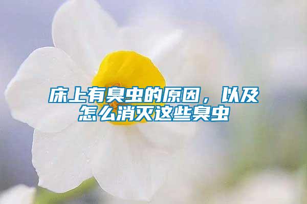 床上有臭蟲(chóng)的原因，以及怎么消滅這些臭蟲(chóng)