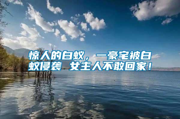 驚人的白蟻，一豪宅被白蟻侵襲 女主人不敢回家！