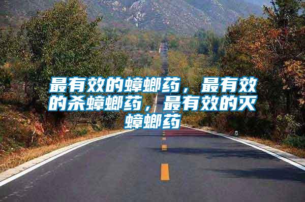 最有效的蟑螂藥，最有效的殺蟑螂藥，最有效的滅蟑螂藥