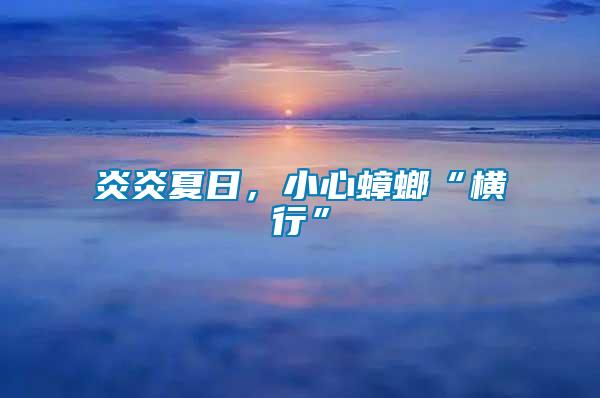 炎炎夏日，小心蟑螂“橫行”