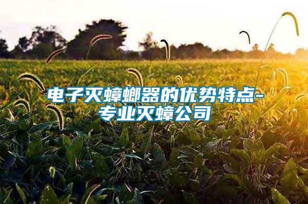 電子滅蟑螂器的優(yōu)勢特點-專業(yè)滅蟑公司