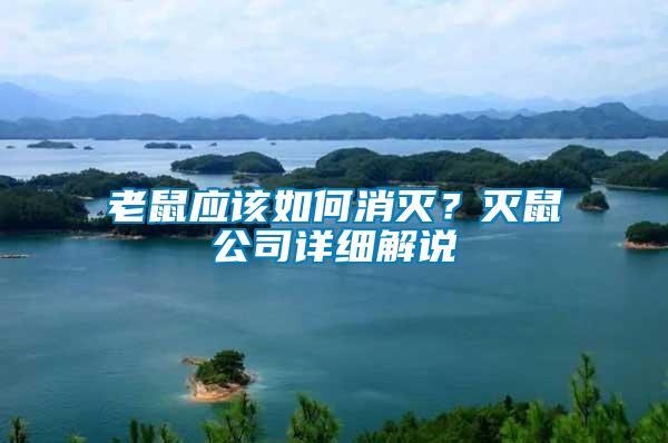 老鼠應(yīng)該如何消滅？滅鼠公司詳細(xì)解說