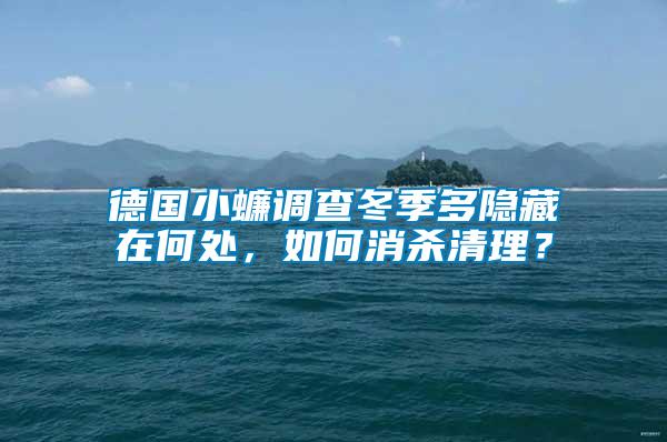 德國小蠊調(diào)查冬季多隱藏在何處，如何消殺清理？