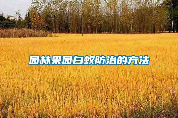 園林果園白蟻防治的方法