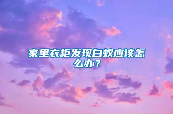 家里衣柜發(fā)現(xiàn)白蟻應(yīng)該怎么辦？