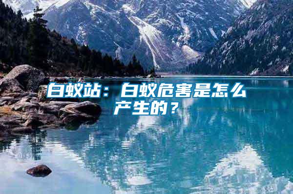 白蟻站：白蟻危害是怎么產(chǎn)生的？