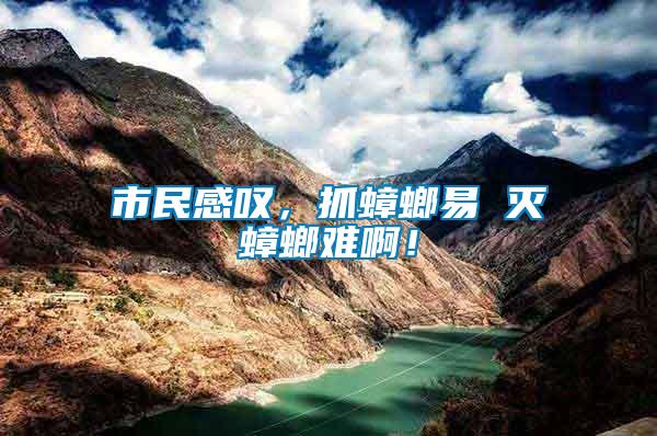 市民感嘆,抓蟑螂易 滅蟑螂難??!