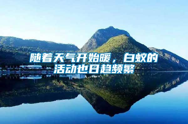 隨著天氣開(kāi)始暖，白蟻的活動(dòng)也日趨頻繁