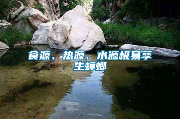 食源、熱源、水源極易孳生蟑螂