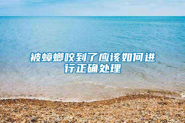 被蟑螂咬到了應(yīng)該如何進行正確處理