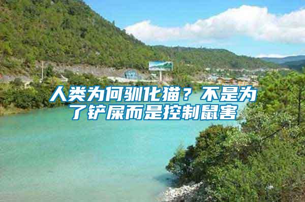 人類為何馴化貓？不是為了鏟屎而是控制鼠害
