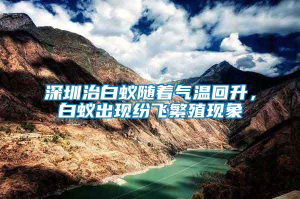 深圳治白蟻隨著氣溫回升，白蟻出現(xiàn)紛飛繁殖現(xiàn)象